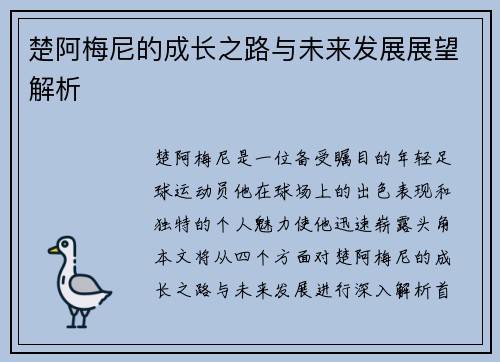 楚阿梅尼的成长之路与未来发展展望解析